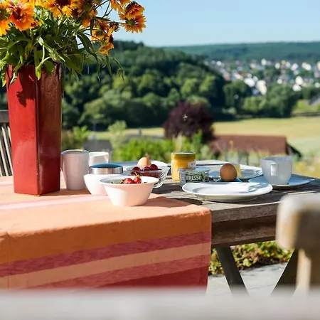 Apartment Oase Mit Sonnenterasse & Aussicht *