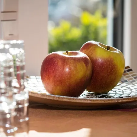 Apartment Oase Mit Sonnenterasse & Aussicht Niederdorla